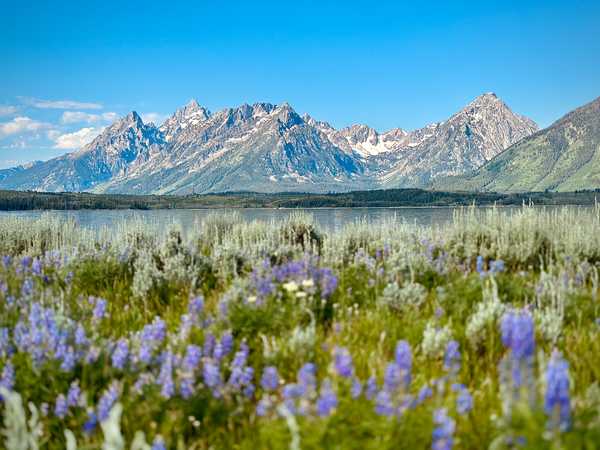 teton1