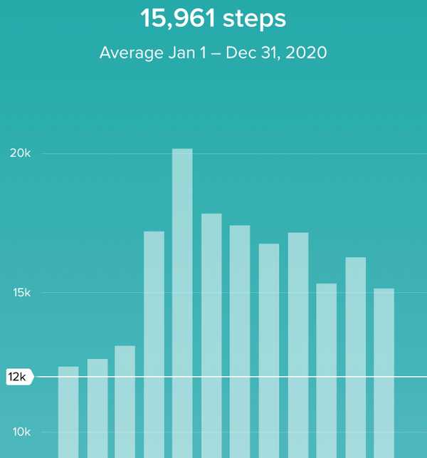 2020steps